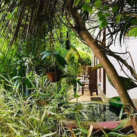 Green Jade Inn Мириса Екстериор снимка