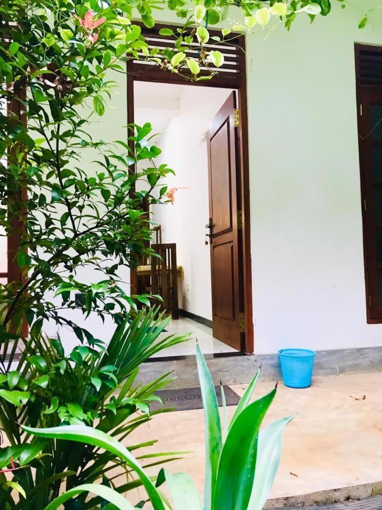 Green Jade Inn Мириса Екстериор снимка