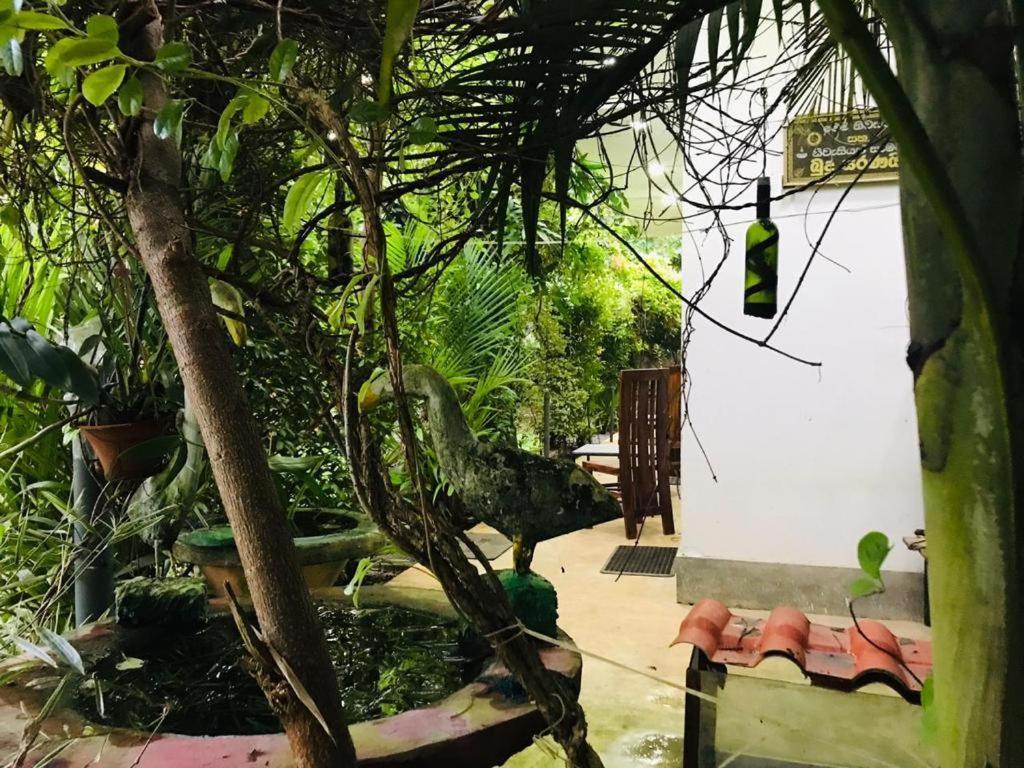 Green Jade Inn Мириса Екстериор снимка