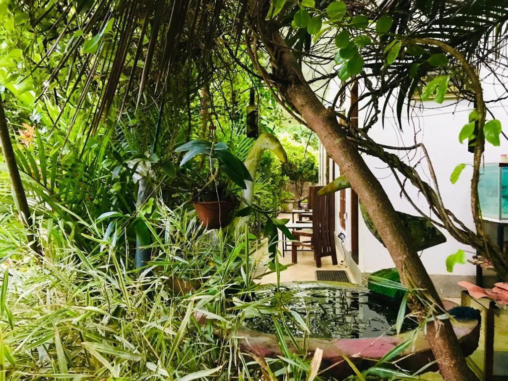 Green Jade Inn Мириса Екстериор снимка